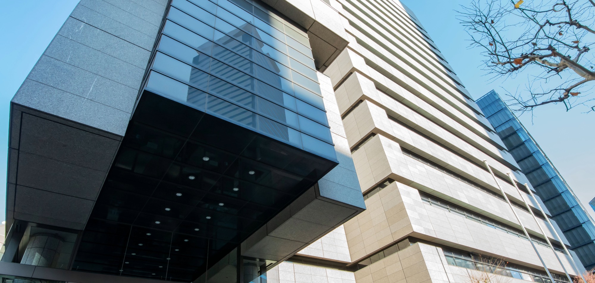 Global IP Protection Leaders